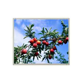 Industrial AUO 19 inch 1280x1024 TFT LCD Panel IPS Display For Outdoor G190EAN01 6 With 950nit Sunlight Readable