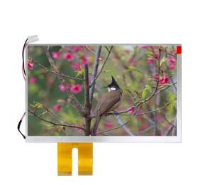 800x480 INNOLUX 30 pin 7 inch TFT LCD Display AT070TN84 V.1