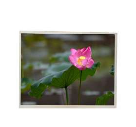 G121XCE-L02 Industrial INNOLUX 12.1 inch IPS TFT LCD Display Panel