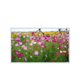 49 inch BOE 1920×1080 DV490FHM-NN3 400nits  TFT IPS industrial lcd screen Panel