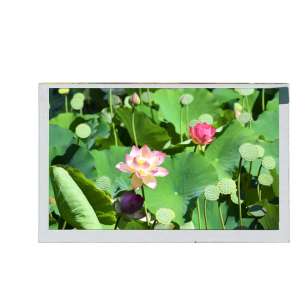 5 Inch 800x480 LCD Screen AUO T...