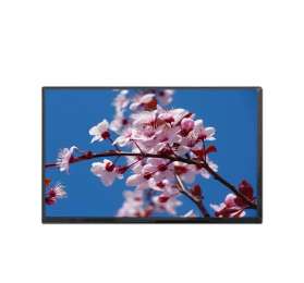 10.1-inch 1280 * 800 resolution full view IPS LCD screen - IDT-G101BIHA-01