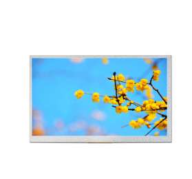 7.0-inch full view IPS LCD screen supports high brightness display - IDT-G070BAEA-04