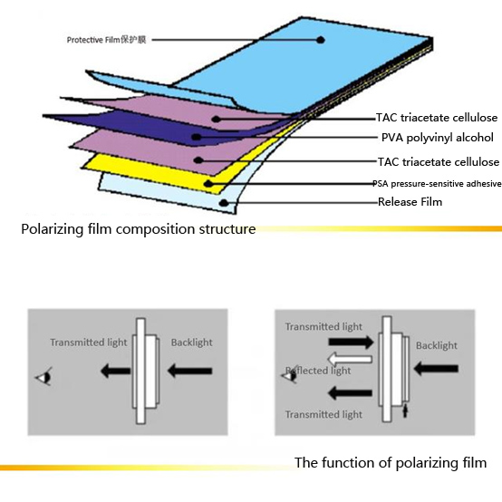 The function of polarizing film.jpg